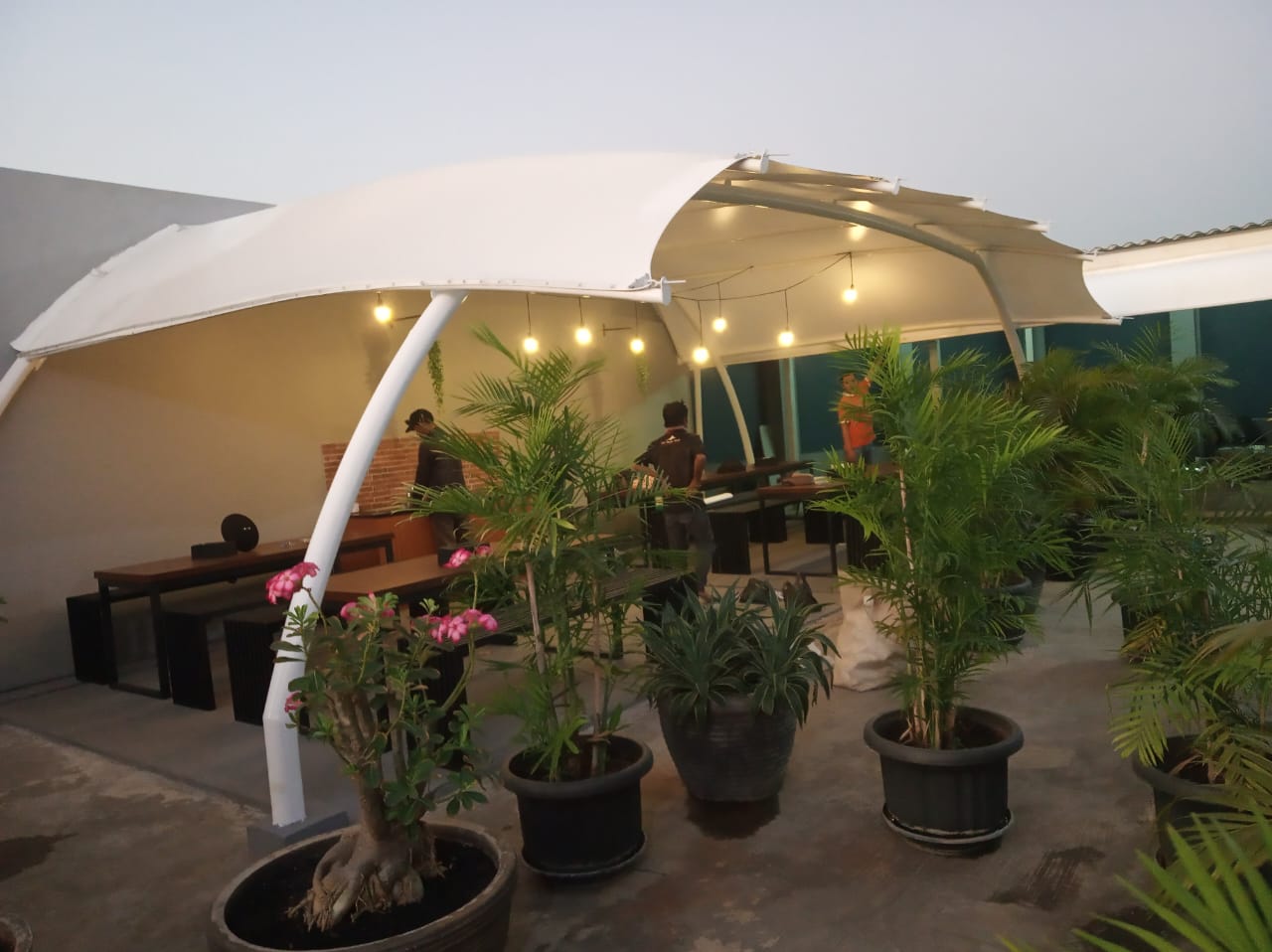 Tenda Membrane